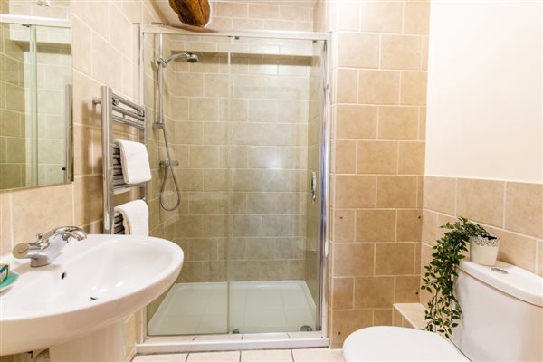 Willow ensuite shower room